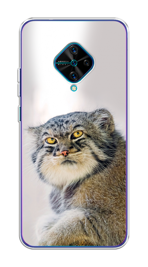 

Чехол на Vivo V17/Y9s "Кот манул 1", Серый;белый;желтый, 261550-1