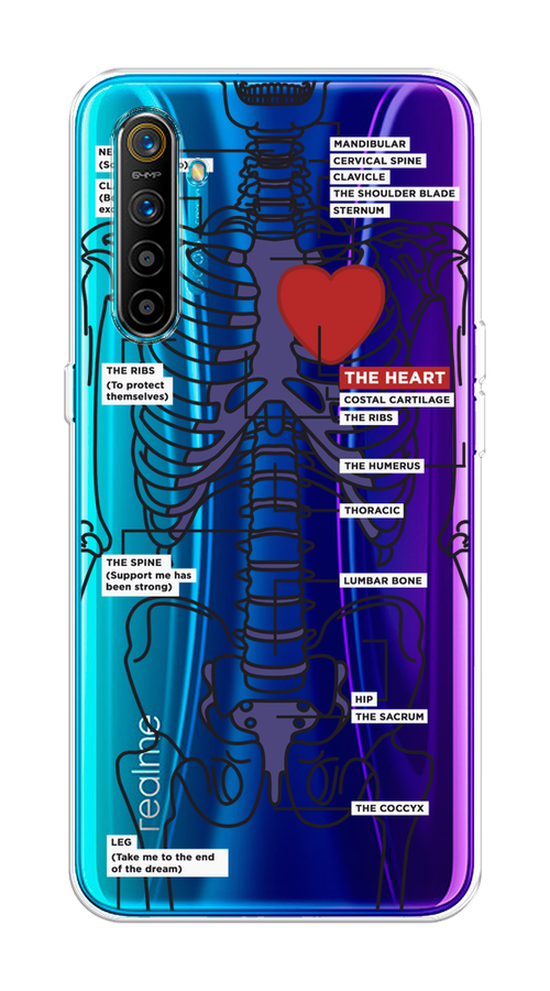 

Чехол на Realme XT "Скелет человека", Прозрачный;синий;красный, 251450-1