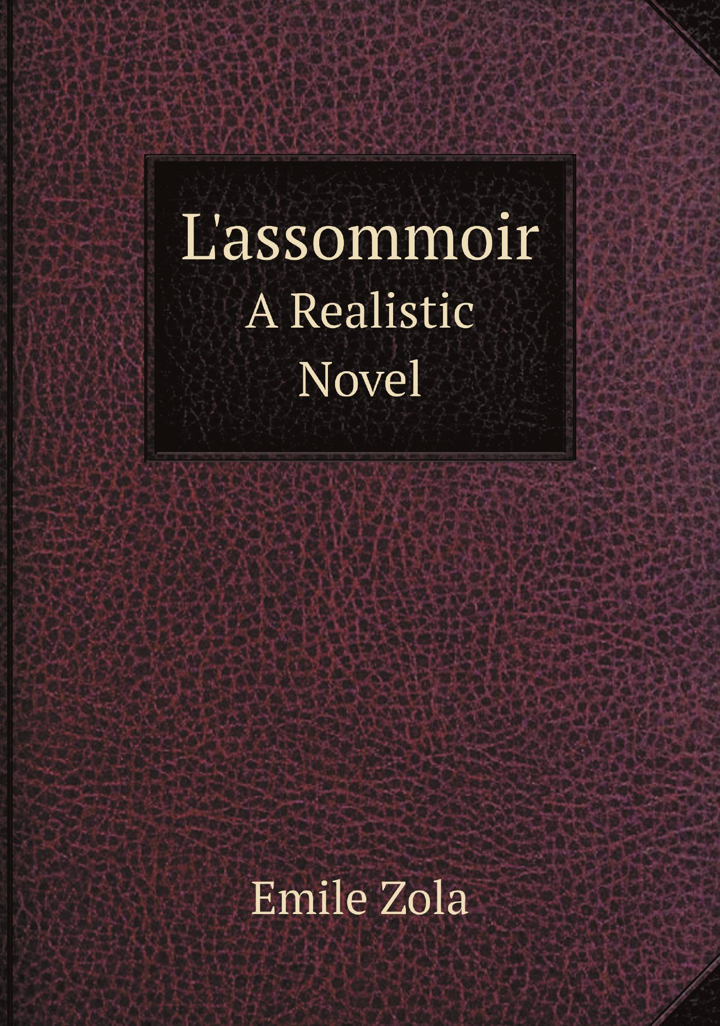 

L'assommoir. A Realistic Novel