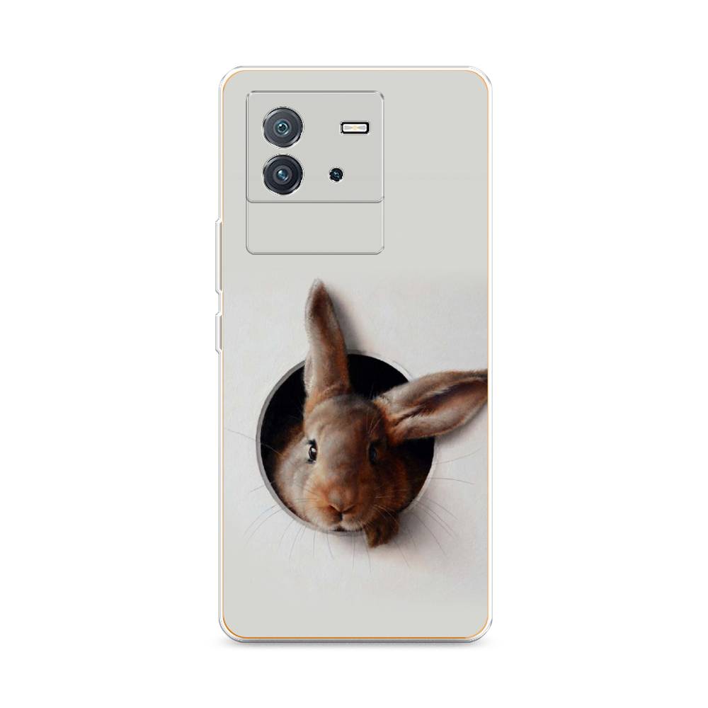 

Чехол на Vivo iQOO Neo6 "Любопытный кролик", Серый;коричневый, 266850-1
