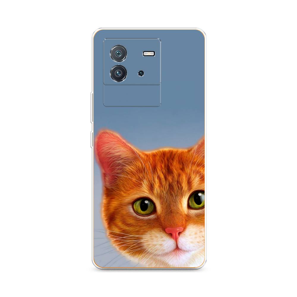 

Чехол на Vivo iQOO Neo6 "Любопытный котик", Коричневый, 266850-1