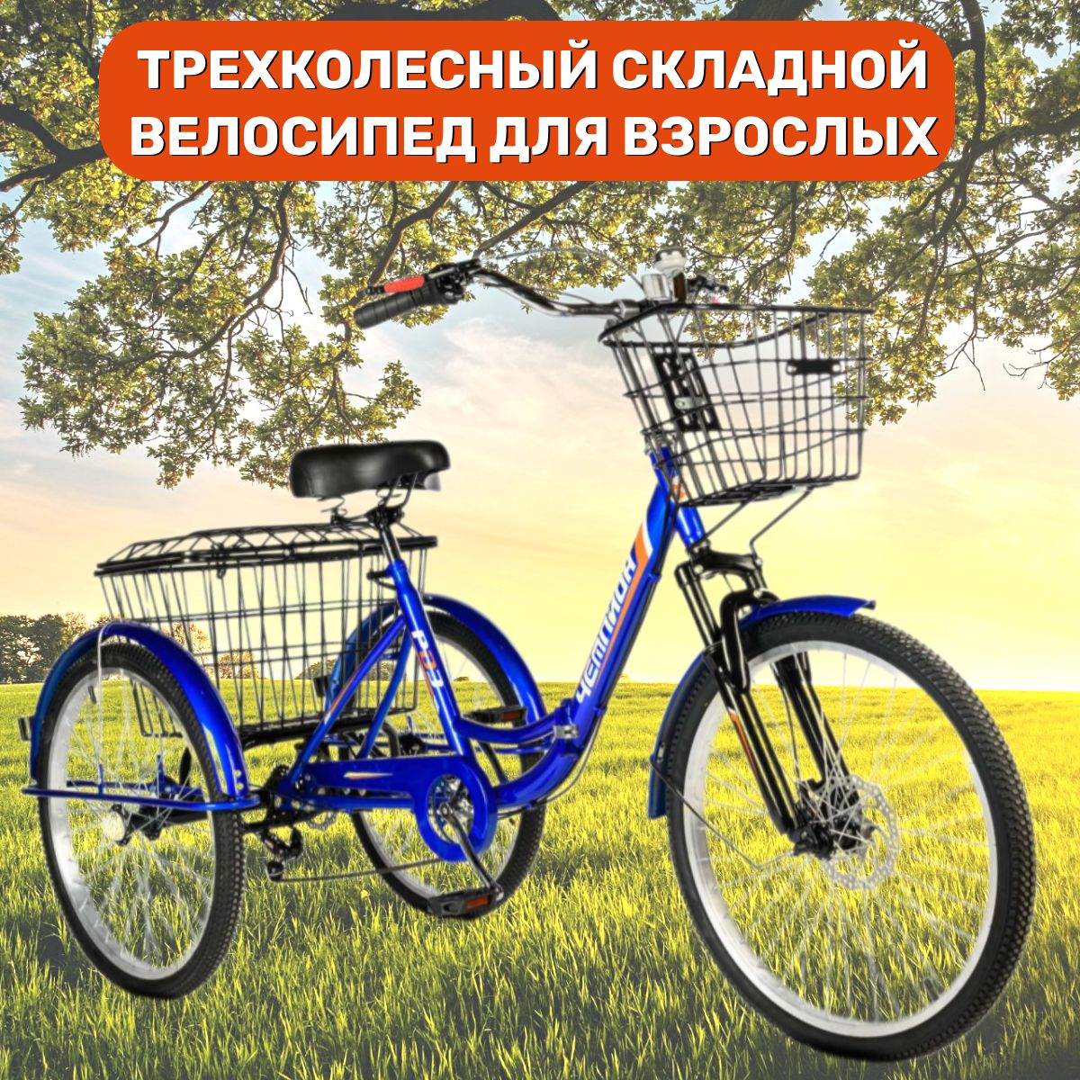

Велосипед городской РВЗ трехколесный для взрослых складной Чемпион синий 24"