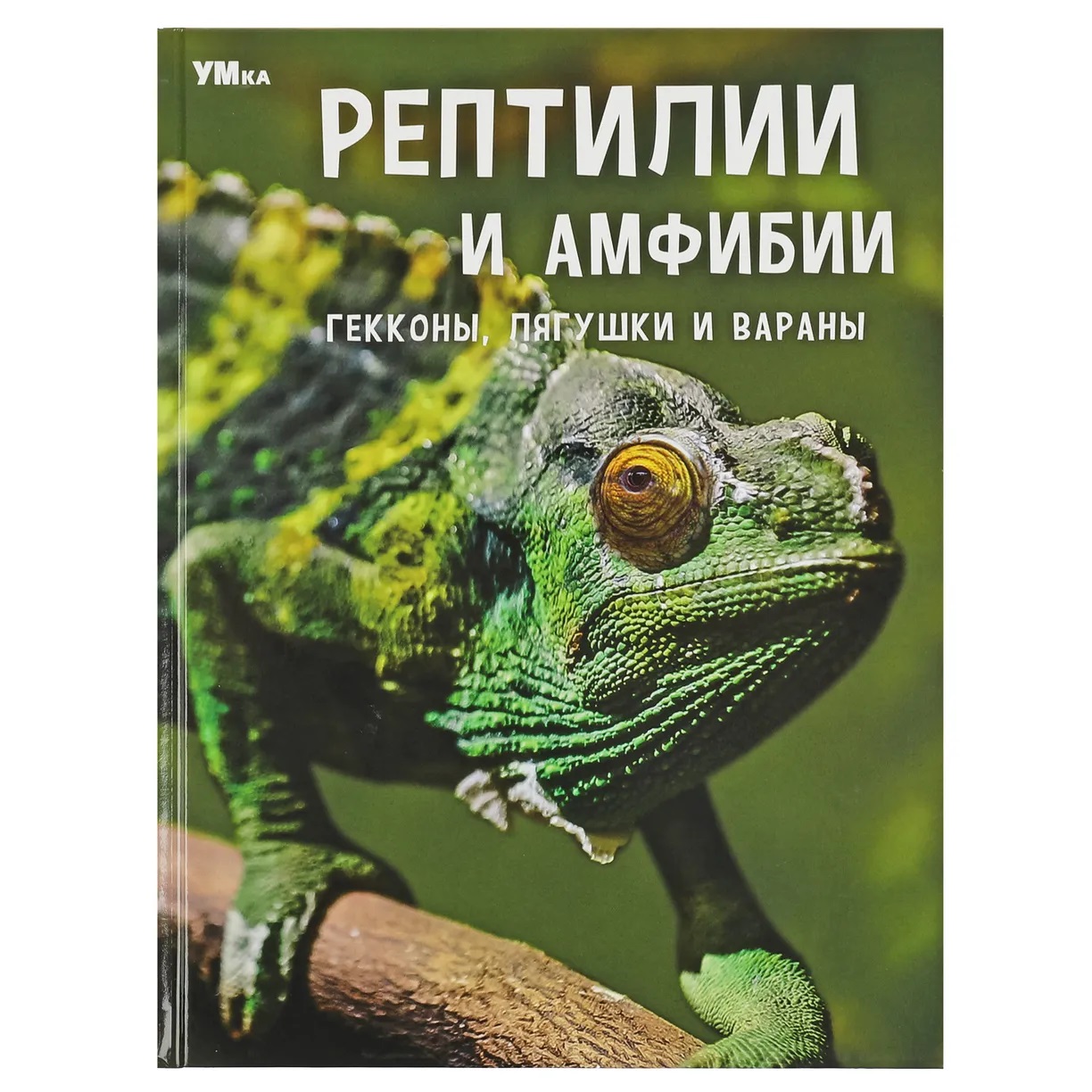 

Энциклопедия Рептилии и амфибии