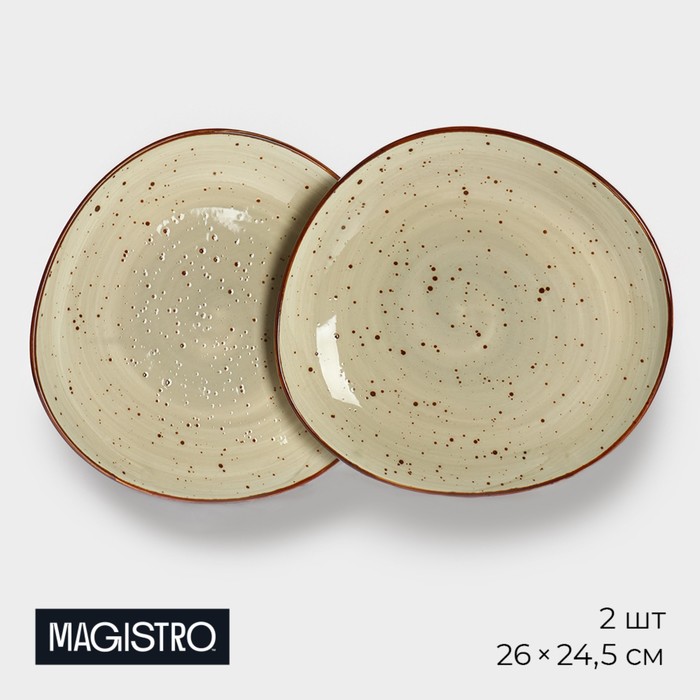 

Набор тарелок фарфоровых обеденных Magistro 9705505 2 предмета 26x24,5 см,