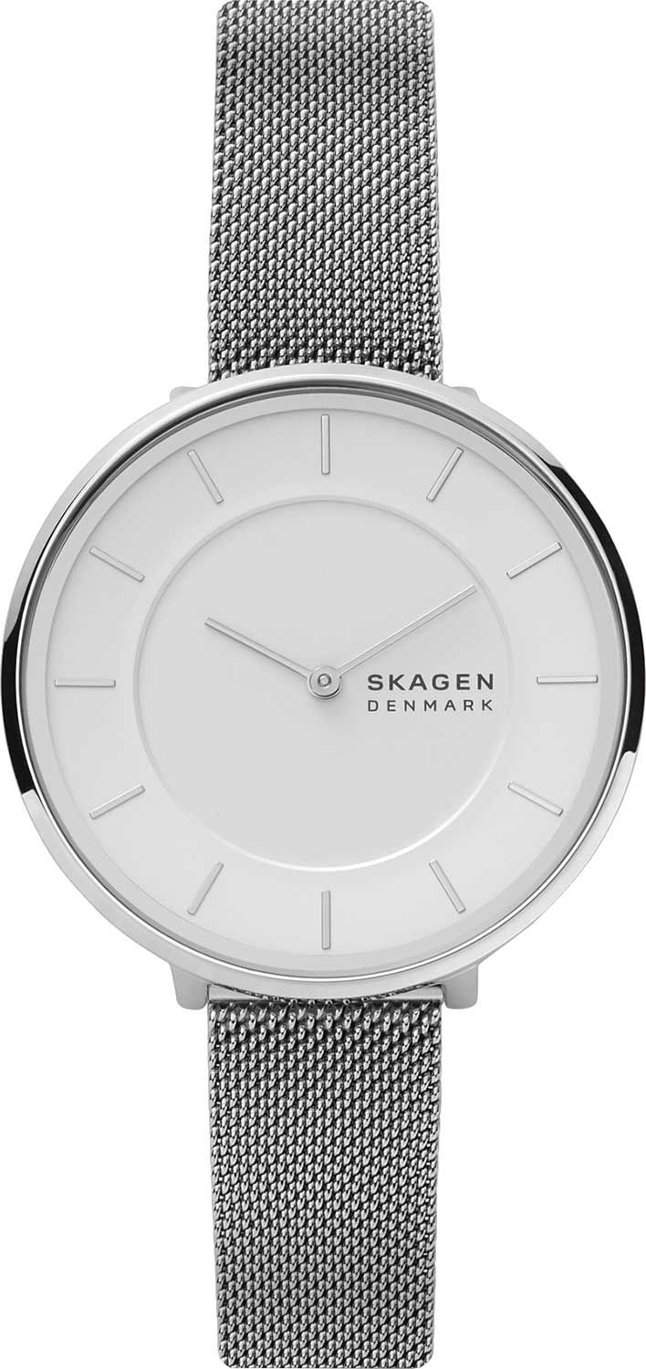 фото Наручные часы женские skagen skw3016 серебристые