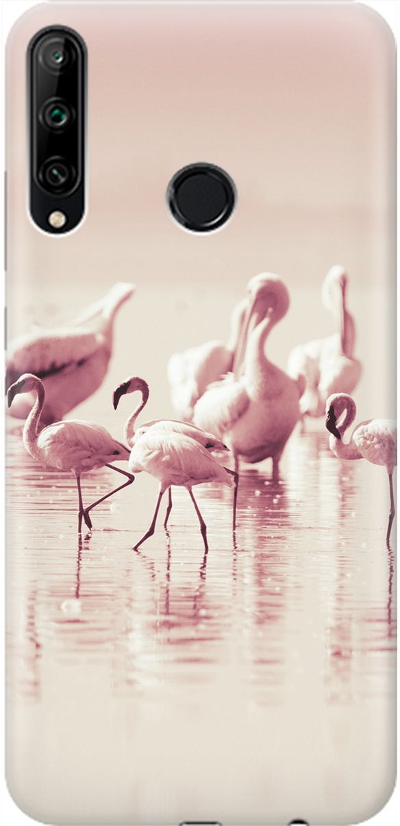 

Чехол на Honor 9C/Huawei P40 Lite E "Розовые фламинго", Белый;розовый, 1905