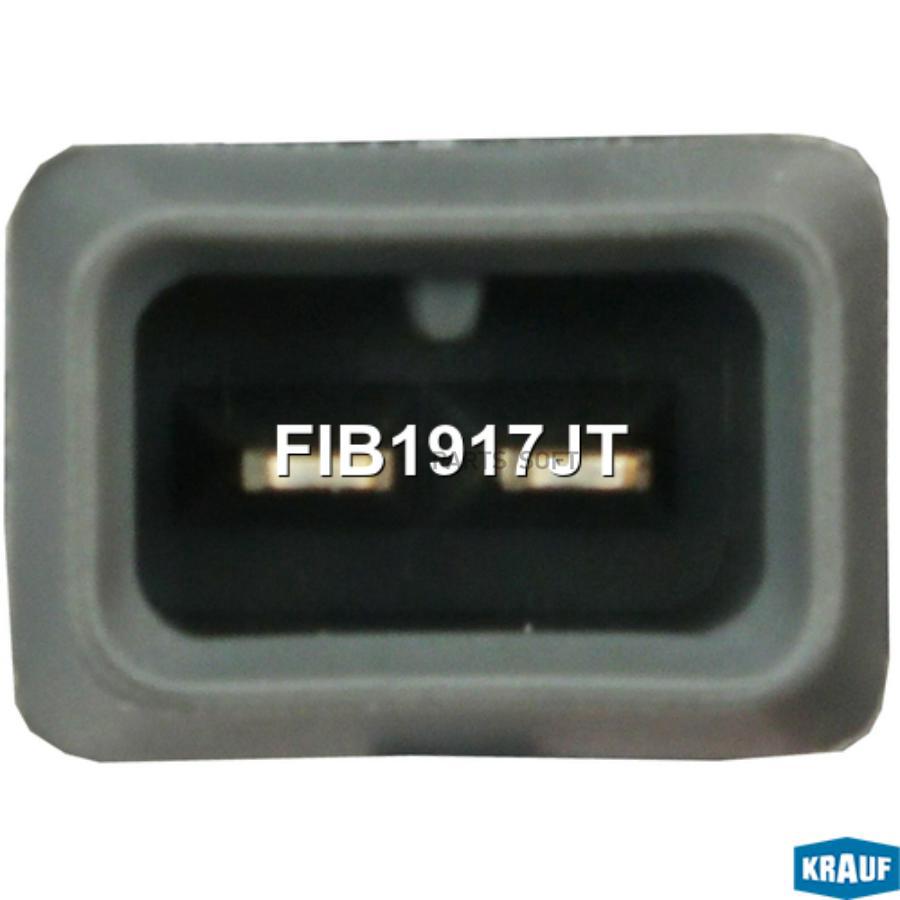 

Форсунка Бензиновая Krauf fib1917jt