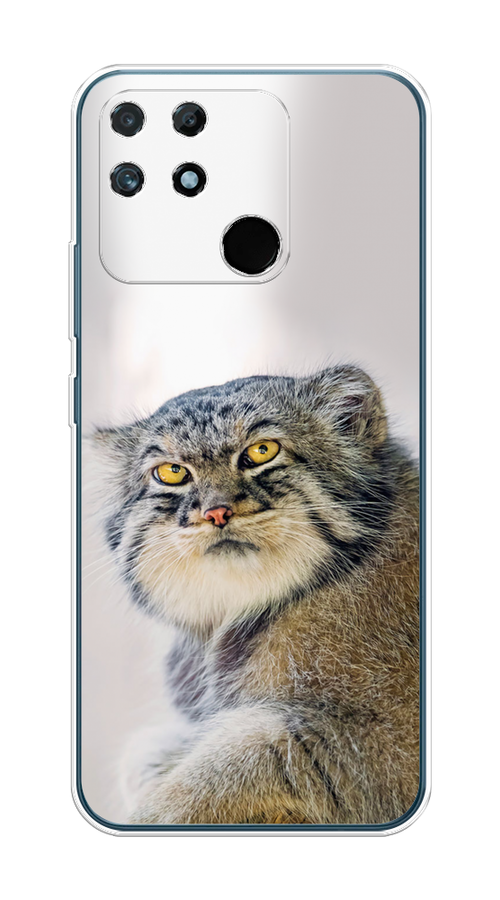 

Чехол на Realme Narzo 50A "Кот манул 1", Серый;белый;желтый, 258450-1