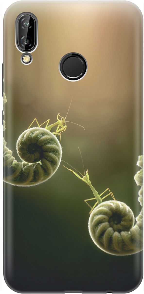 

Чехол на Huawei P20 Lite/Nova 3e с принтом "Пара богомолов", 1463