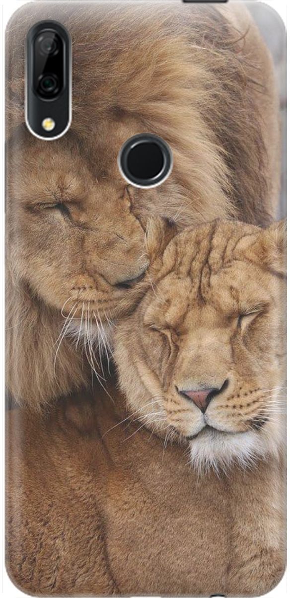 

Чехол на Honor 9X/9X Premium/Huawei P Smart Z/Y9 Prime (2019) "Милые львы", Бежевый;коричневый, 1462