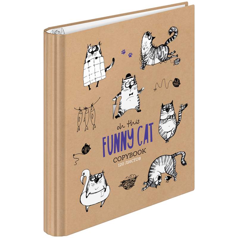 

Тетрадь на кольцах ArtSpace Рисунки. Funny cats, 321619, А5, 120 листов, 3 шт.