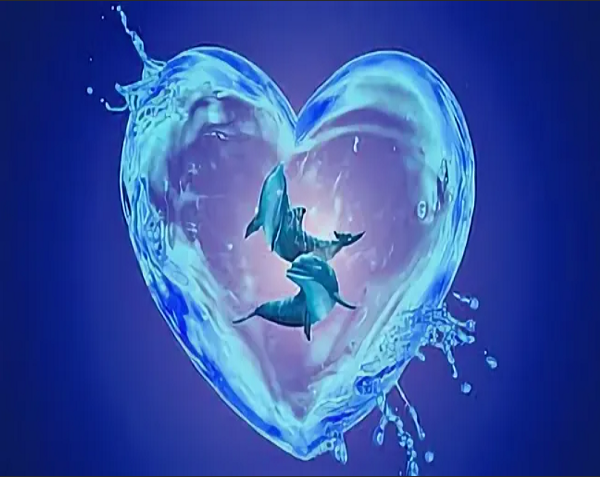фото Алмазная мозаика стразами ripoma сердце из воды 00114695 30х40 см