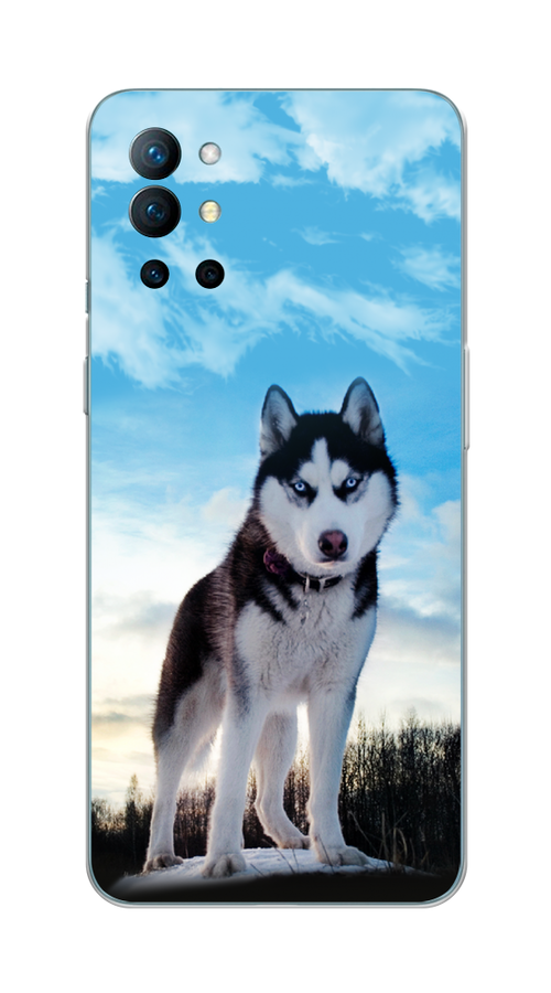 

Чехол Awog на OnePlus 9R / ВанПлас 9R "Хаски 3", Белый;черный;голубой, 151650-2