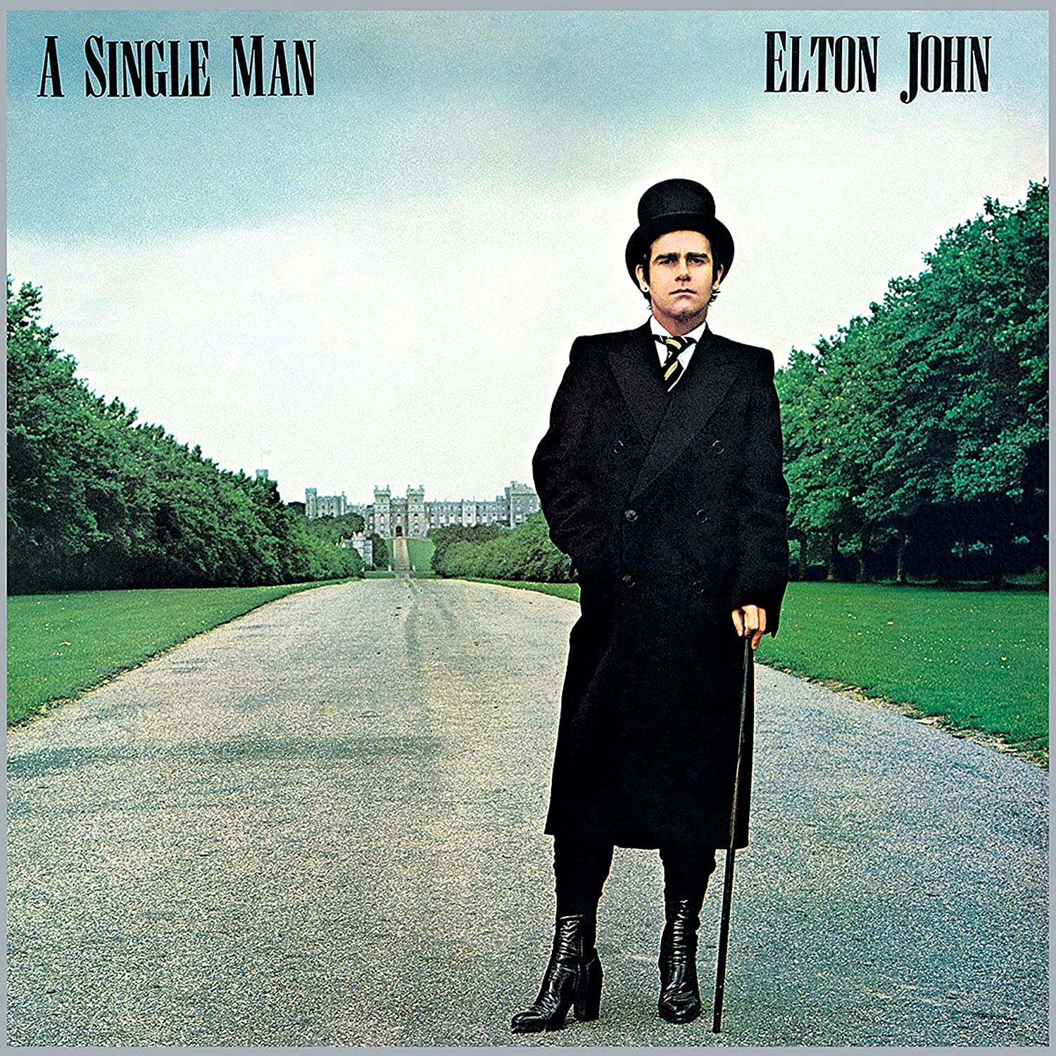 Elton John A Single Man (Винил)