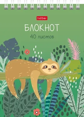 

Блокнот Hatber Джунгли А6 в клетку 40 листов в ассортименте (дизайн по наличию)