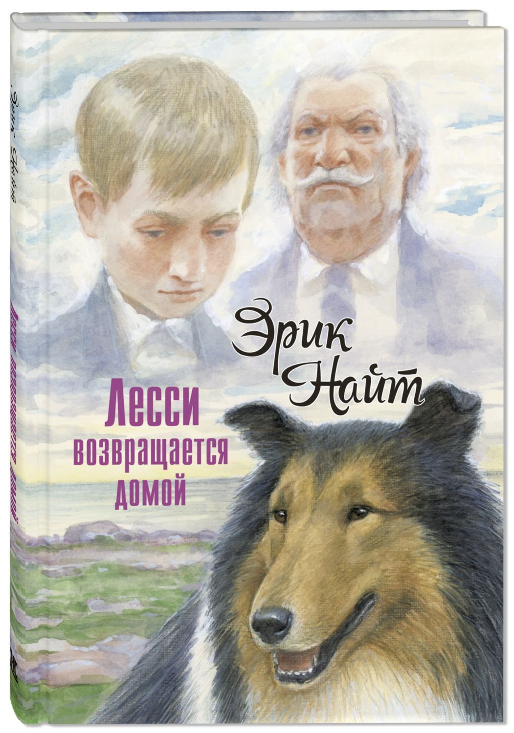 

Лесси возвращается домой