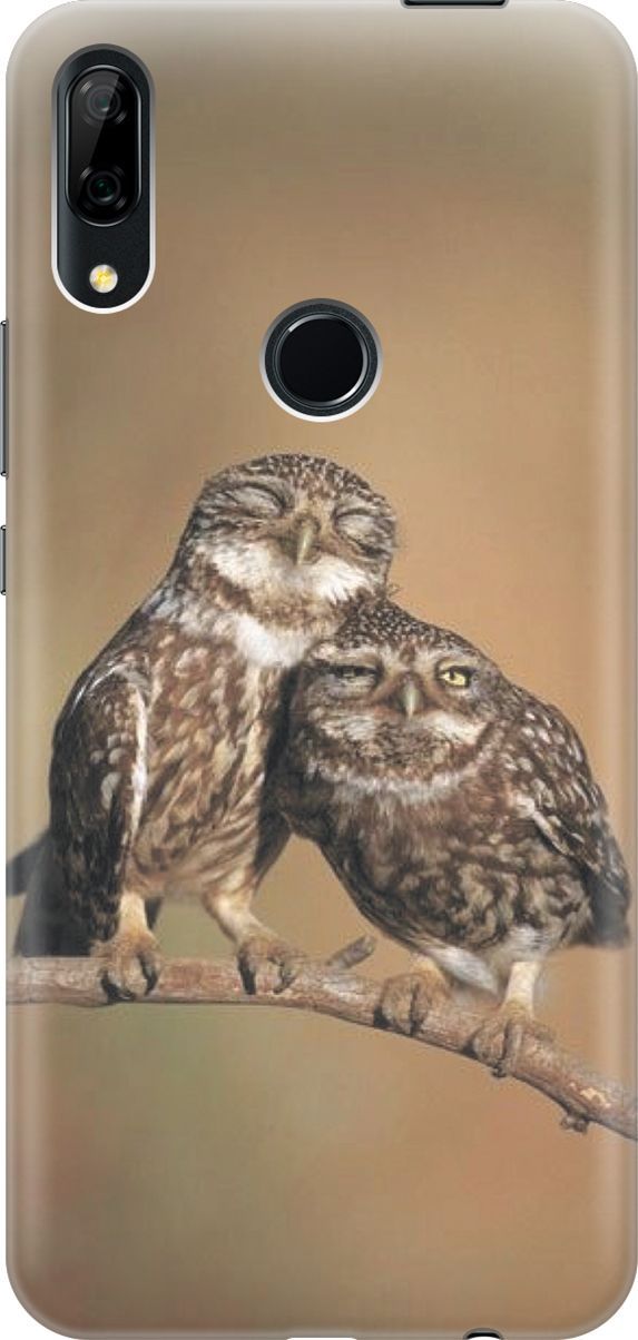 

Чехол на Honor 9X/9X Premium/Huawei P Smart Z/Y9 Prime (2019) "Пара совушек", Белый;коричневый, 348