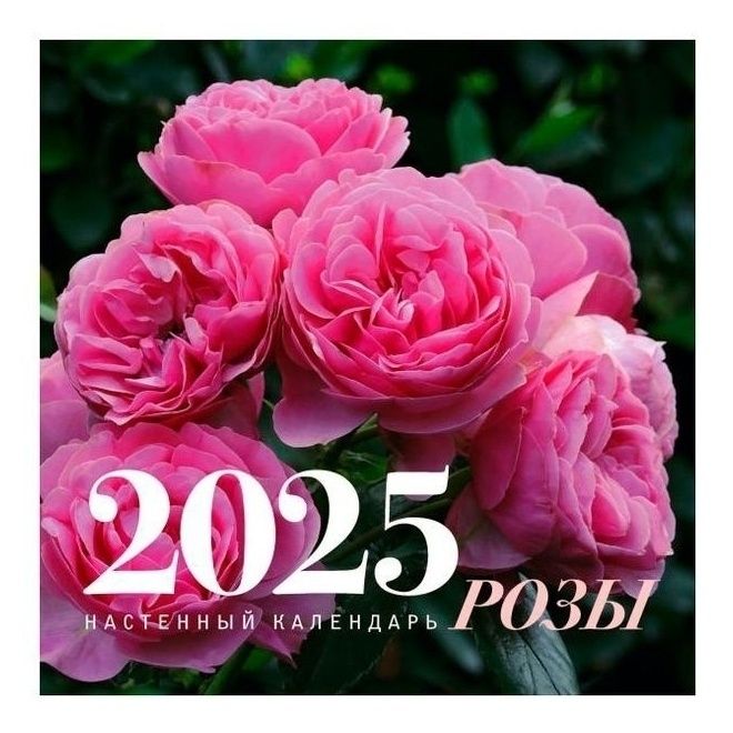

Календарь настенный Розы на 2025 год 30 x 30 см