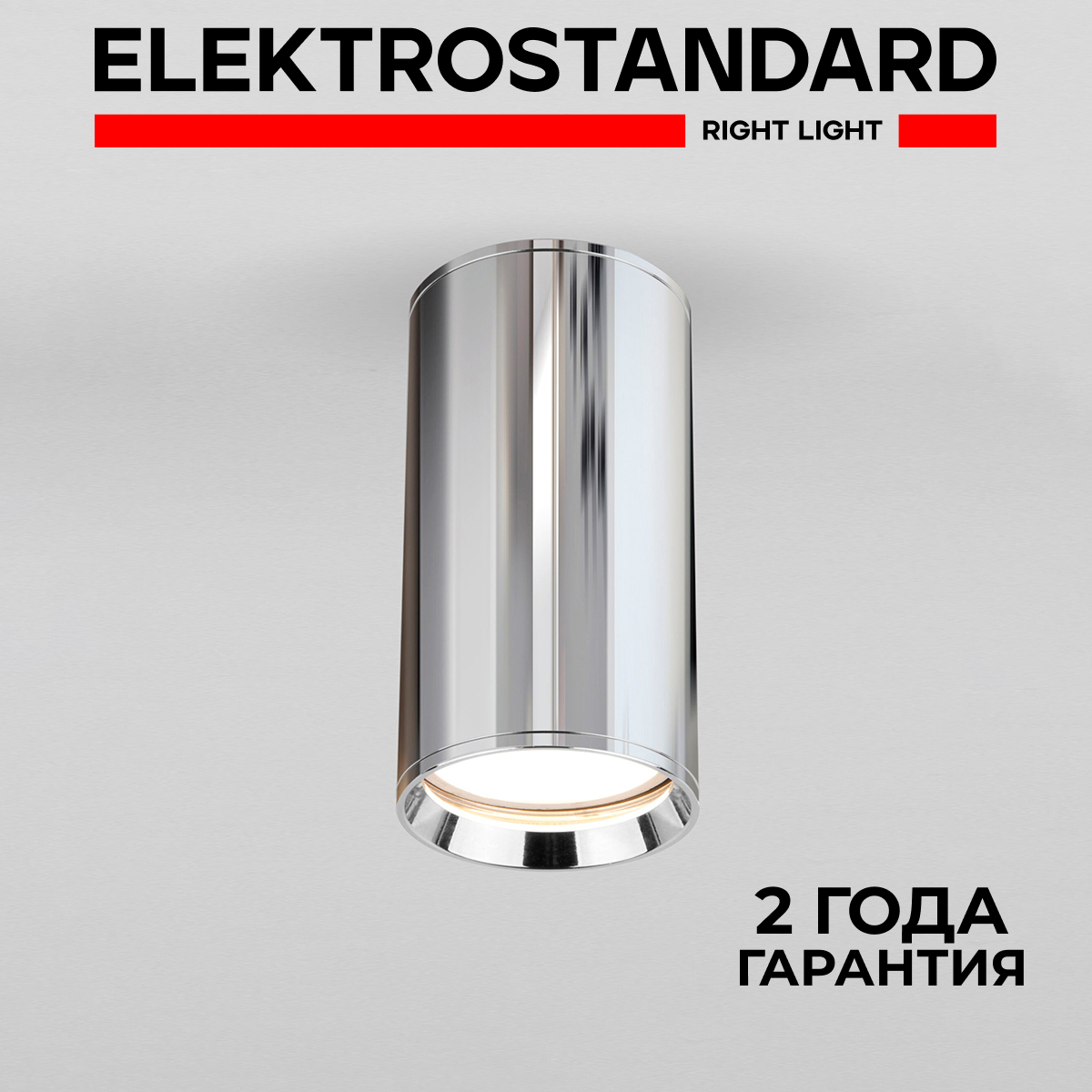 

Накладной потолочный акцентный светильник Elektrostandard DLN101 Rutero GU10, хром, Rutero точка 190923