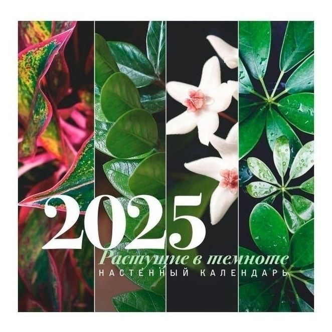 

Календарь настенный Растущие в темноте на 2025 год 30 x 30 см