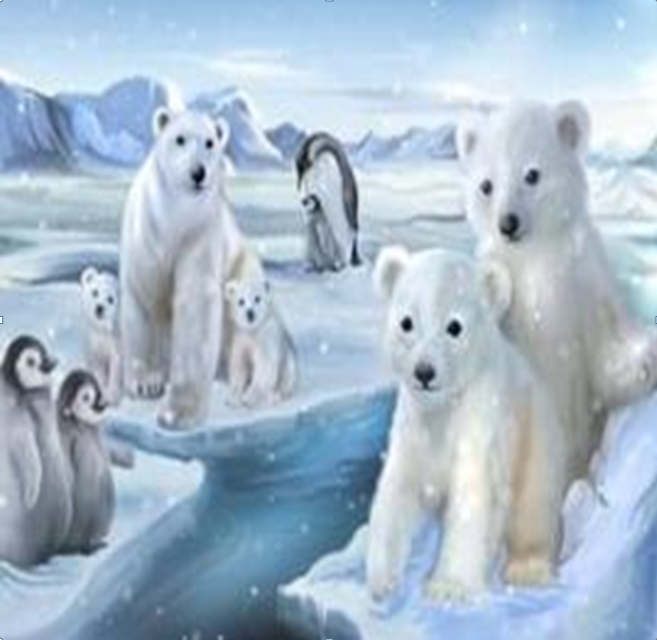фото Алмазная мозаика стразами ripoma белые медведи с пингвинами 00114506 30х40 см