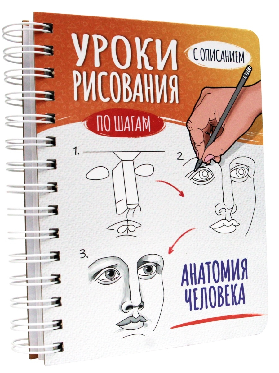Скетчбук Проф-Пресс Уроки рисования Анатомия человека 64-6639