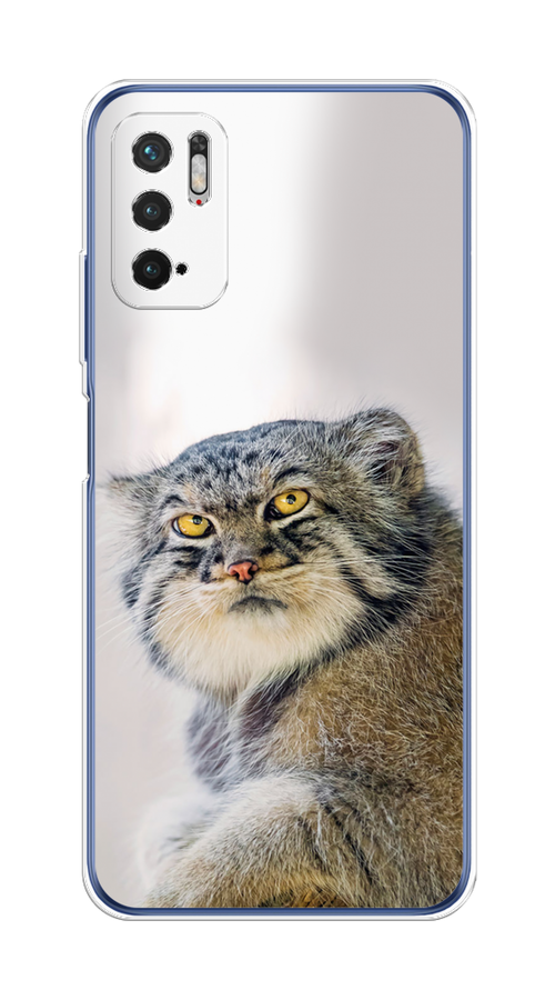 

Чехол на Xiaomi Redmi Note 10T/10 5G/Poco M3 Pro "Кот манул 1", Серый;белый;желтый, 311050-1