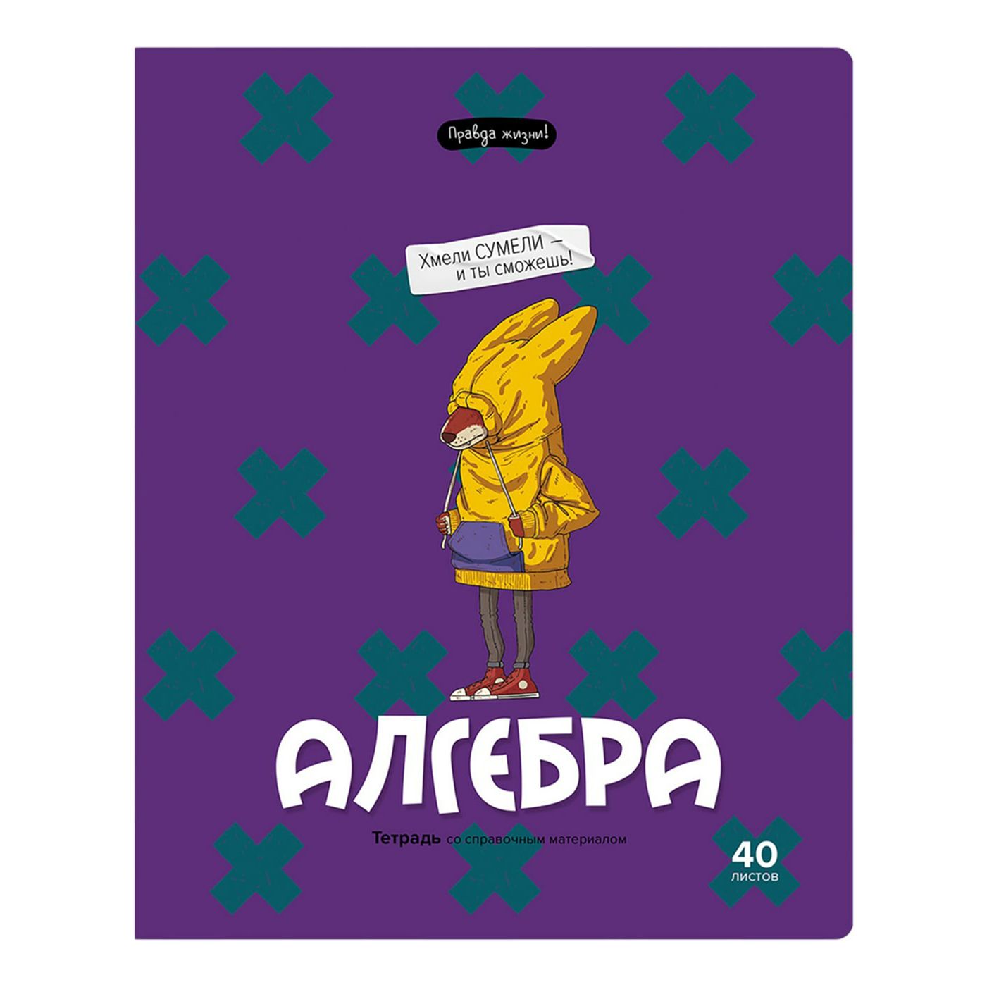 

Тетрадь предметная BG Правда жизни 40 листов Алгебра А5 в клетку