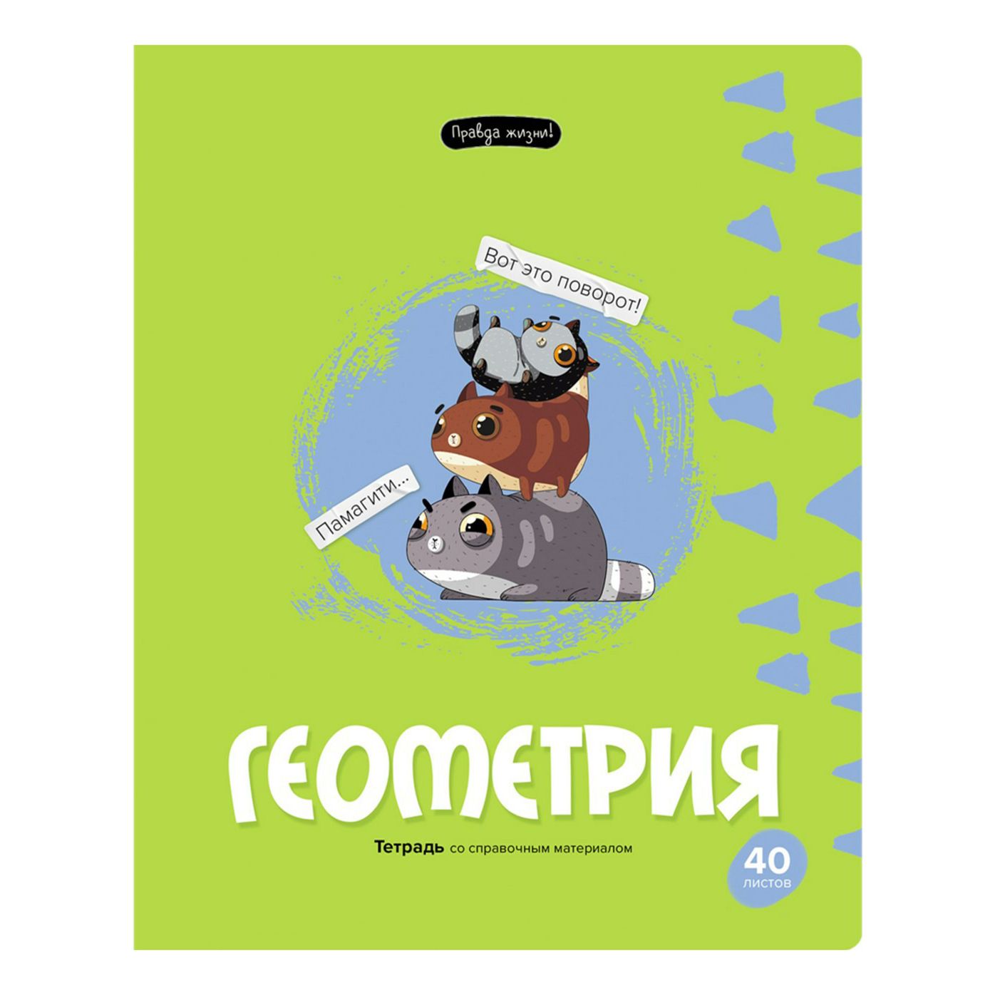 

Тетрадь предметная BG Правда жизни 40 листов Геометрия А5 в клетку