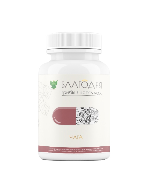 Чага Благодея 60 капсул
