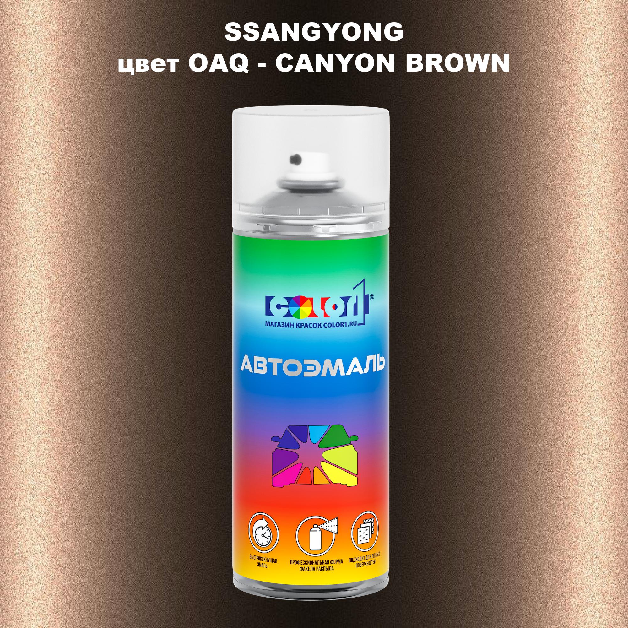 

Аэрозольная краска COLOR1 для SSANGYONG, цвет OAQ - CANYON BROWN, Прозрачный