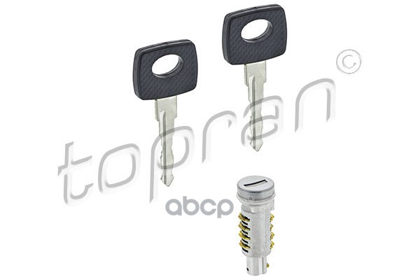 

Вставка Замка Двери С Ключами (Замена Для Hp-116633755) topran арт. 116633001