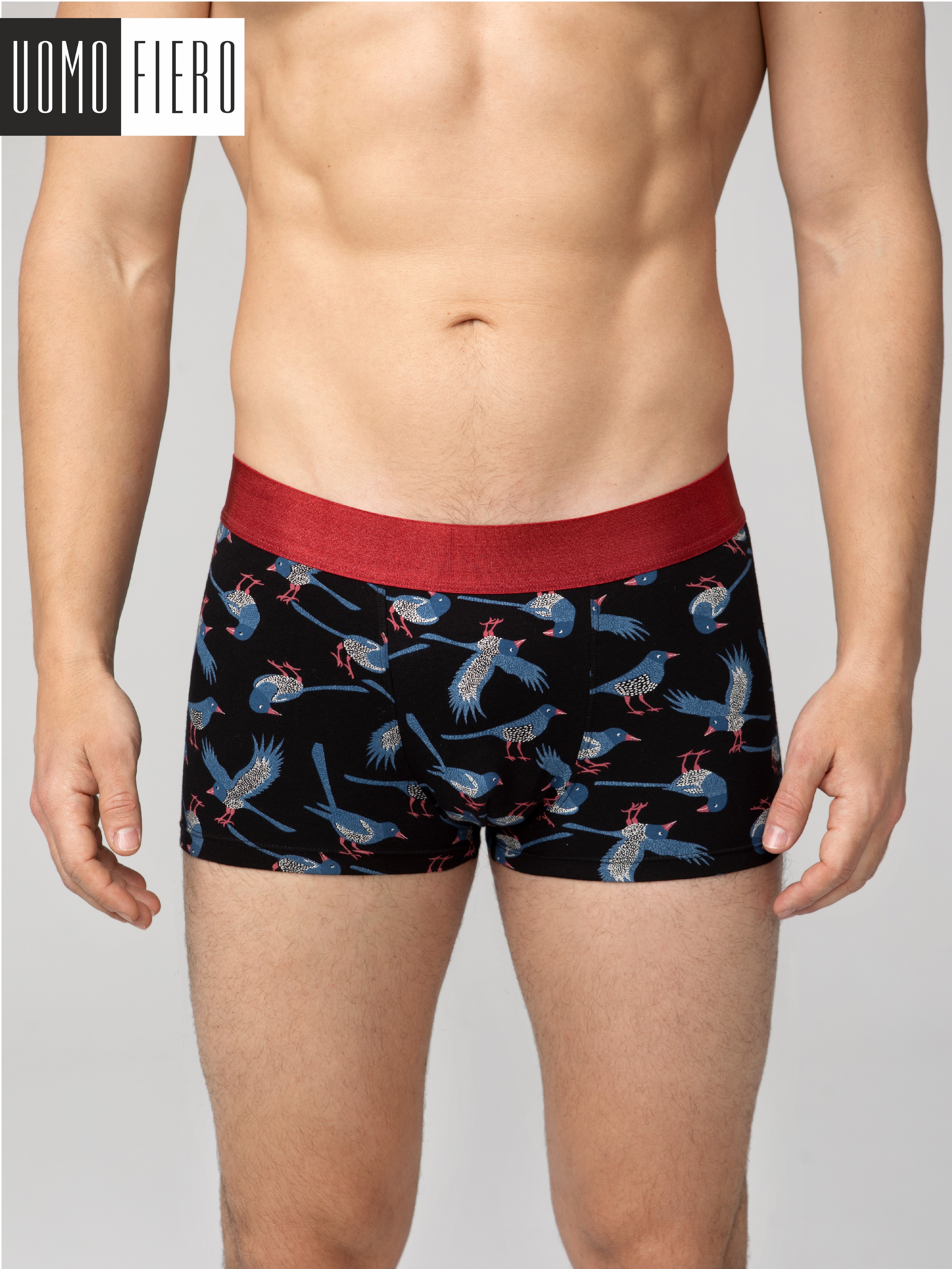 

Трусы мужские UOMO FIERO BIRDS 053FH черные 3XL, Черный, BIRDS 053FH