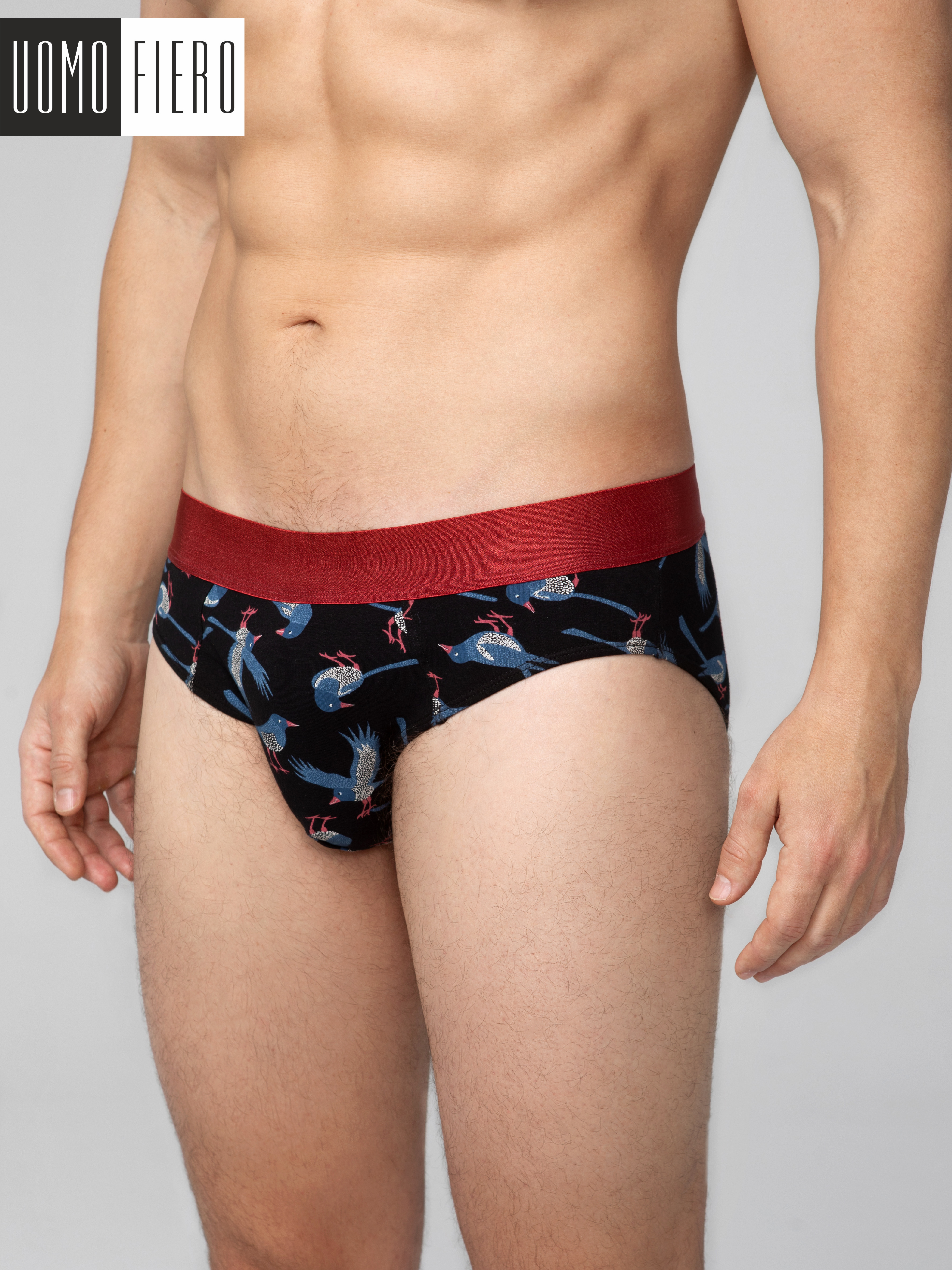 

Трусы мужские UOMO FIERO BIRDS 052FS черные M, Черный, BIRDS 052FS