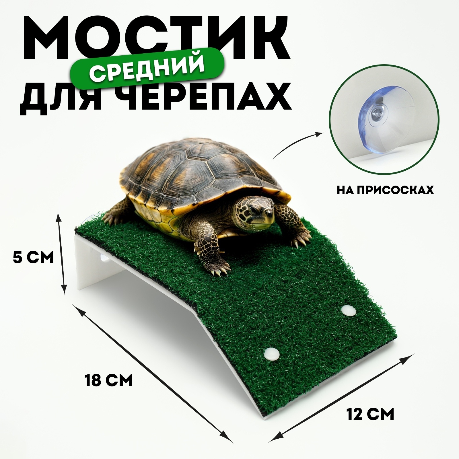 

Мостик для черепах на присосках, зеленый, пластик, 18 х 12 х 5 см