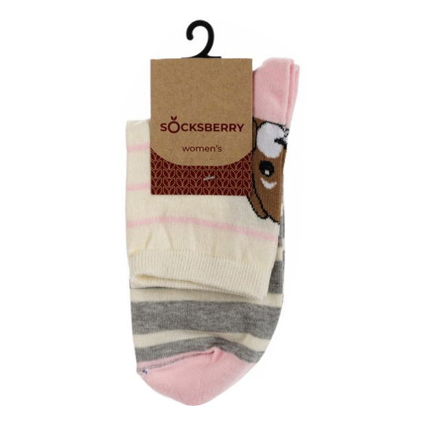 

Носки женские Socksberry разноцветные 25, Разноцветный