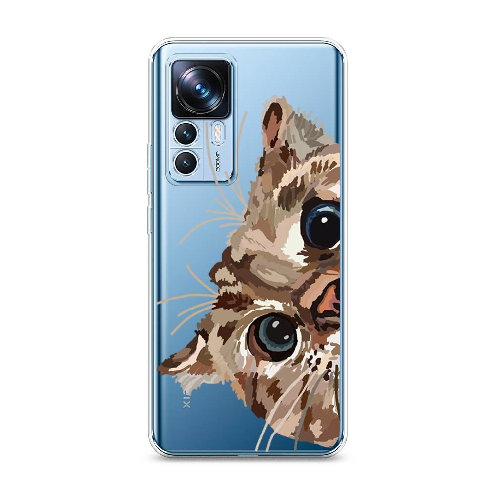 

Чехол на Xiaomi 12T "Любопытный кот", Коричневый;синий;черный, 316650-1