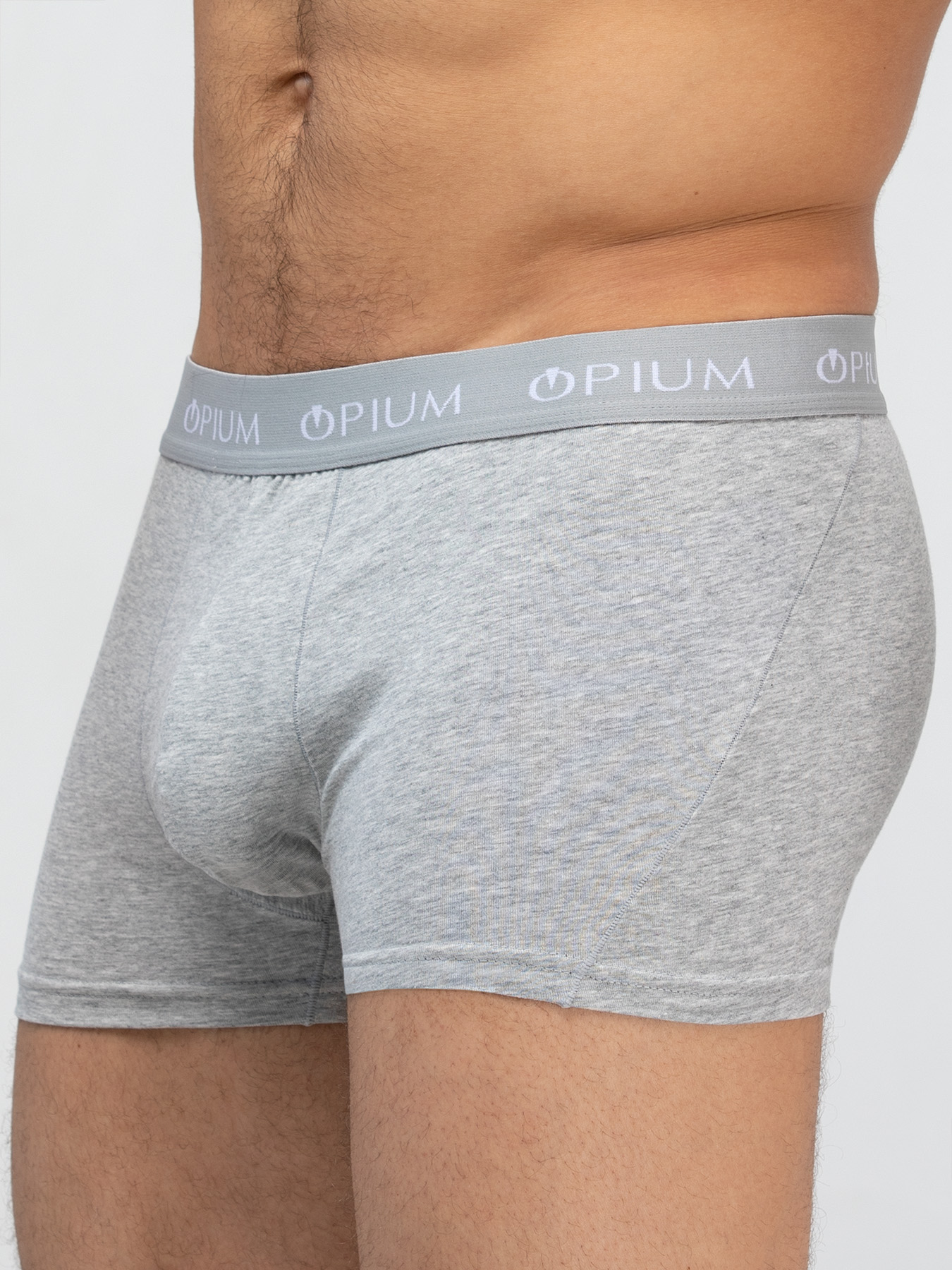 

Трусы мужские Opium R07 серые XL, Серый, R07