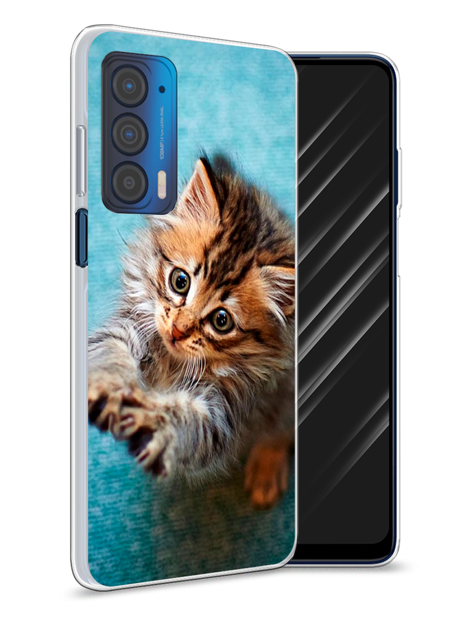 

Чехол Awog на Motorola Edge (2021) "Котенок просит есть", Разноцветный, 242950-2