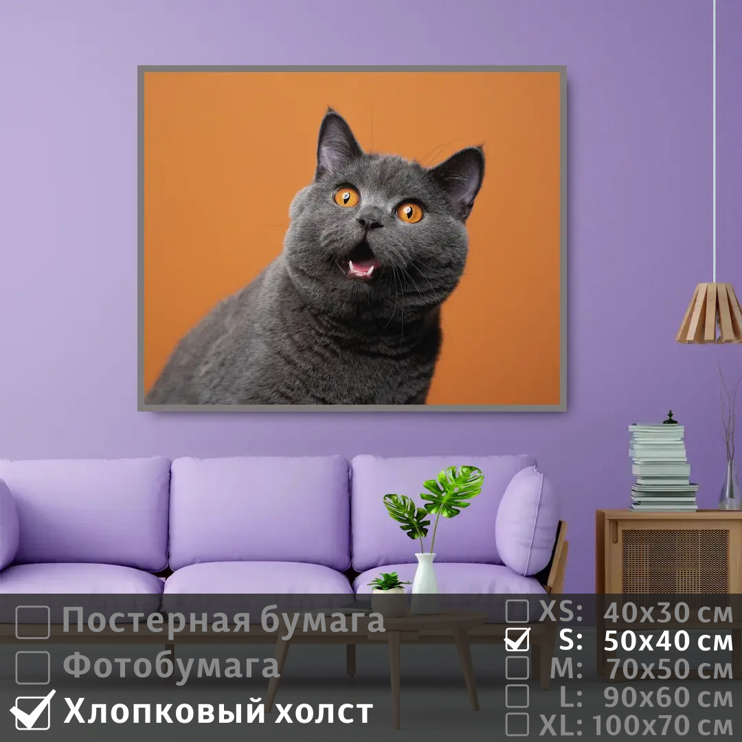 

Постер на холсте ПолиЦентр Серый британский кот 50х40 см, СерыйБританскийКот