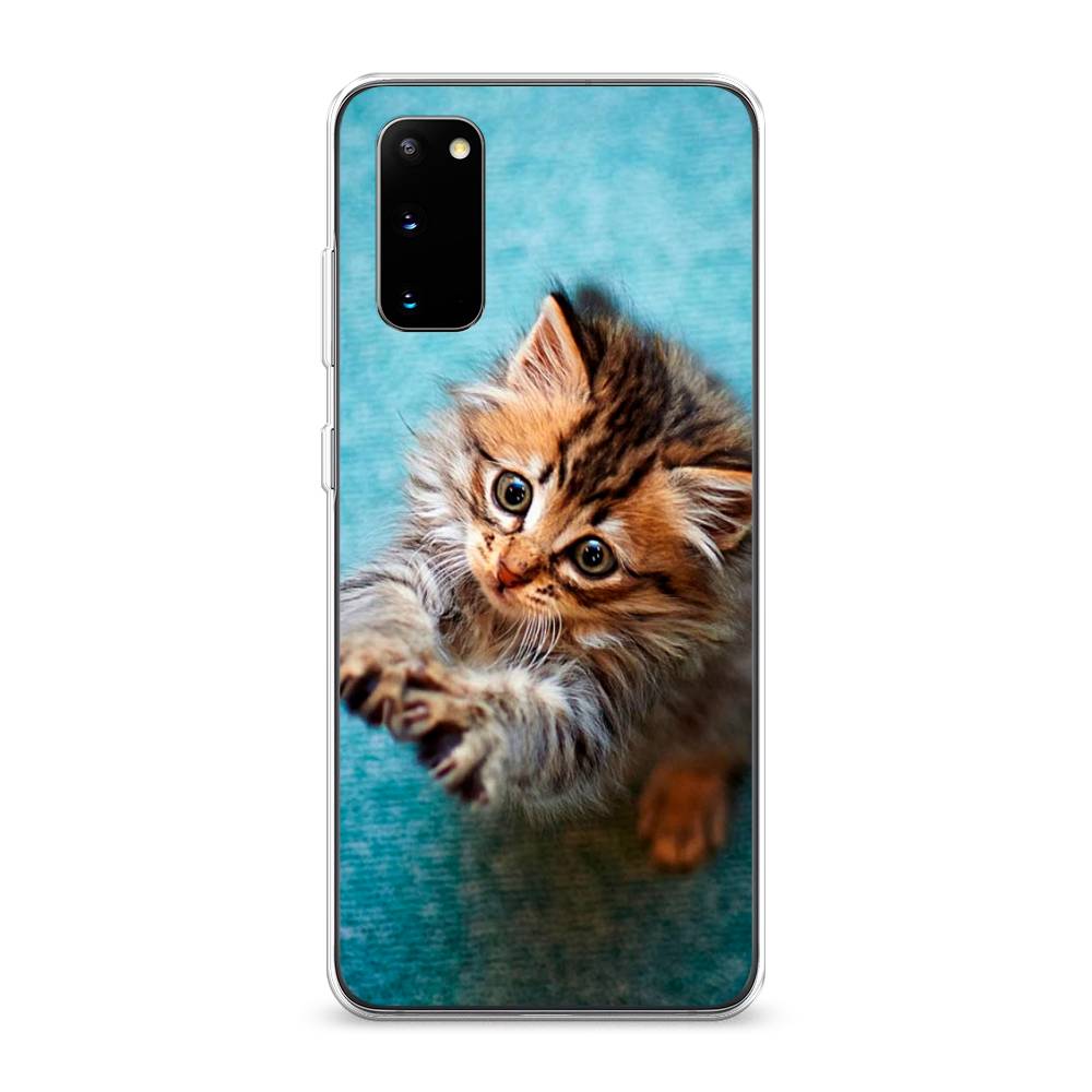 

Чехол Awog на Samsung Galaxy S20 "Котенок просит есть", Разноцветный, 29250-2