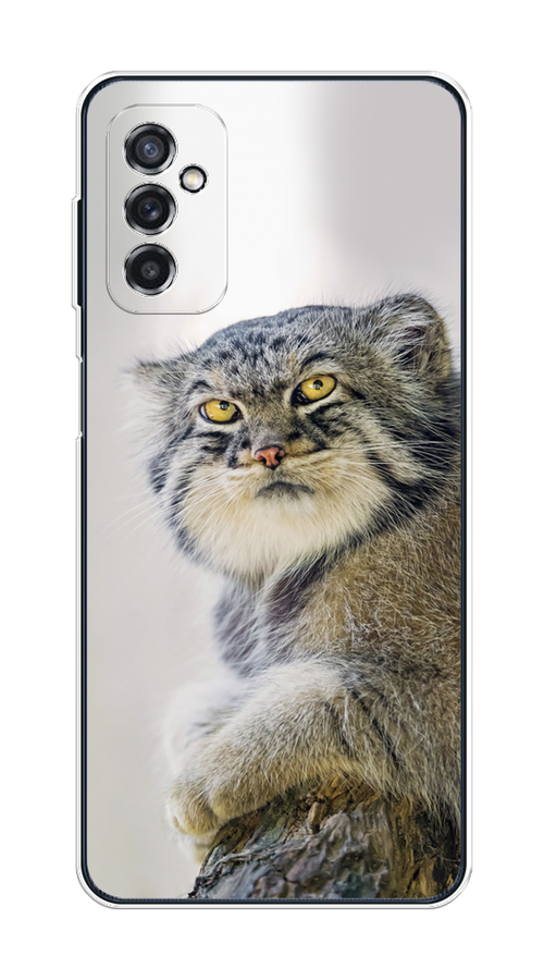 

Чехол на Samsung Galaxy M52 "Кот манул 1", Серый;белый;желтый, 2104350-1