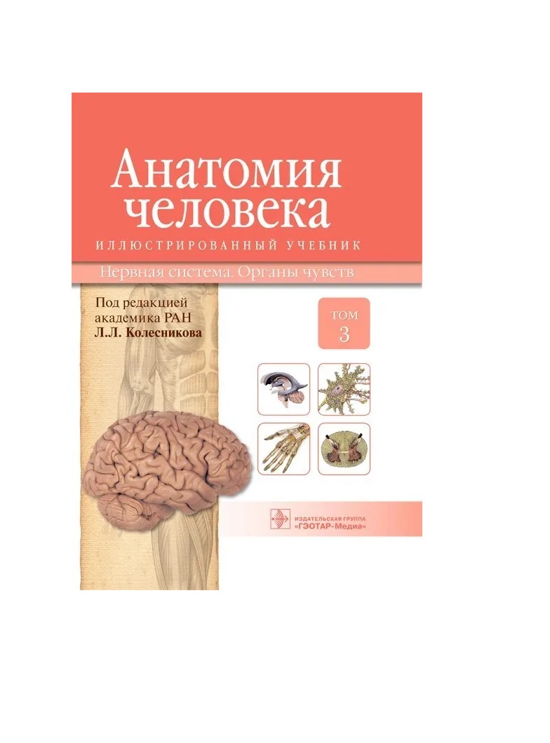 

Анатомия человека. Учебник в 3-х томах. Том 3. Нервная система. Органы чувств