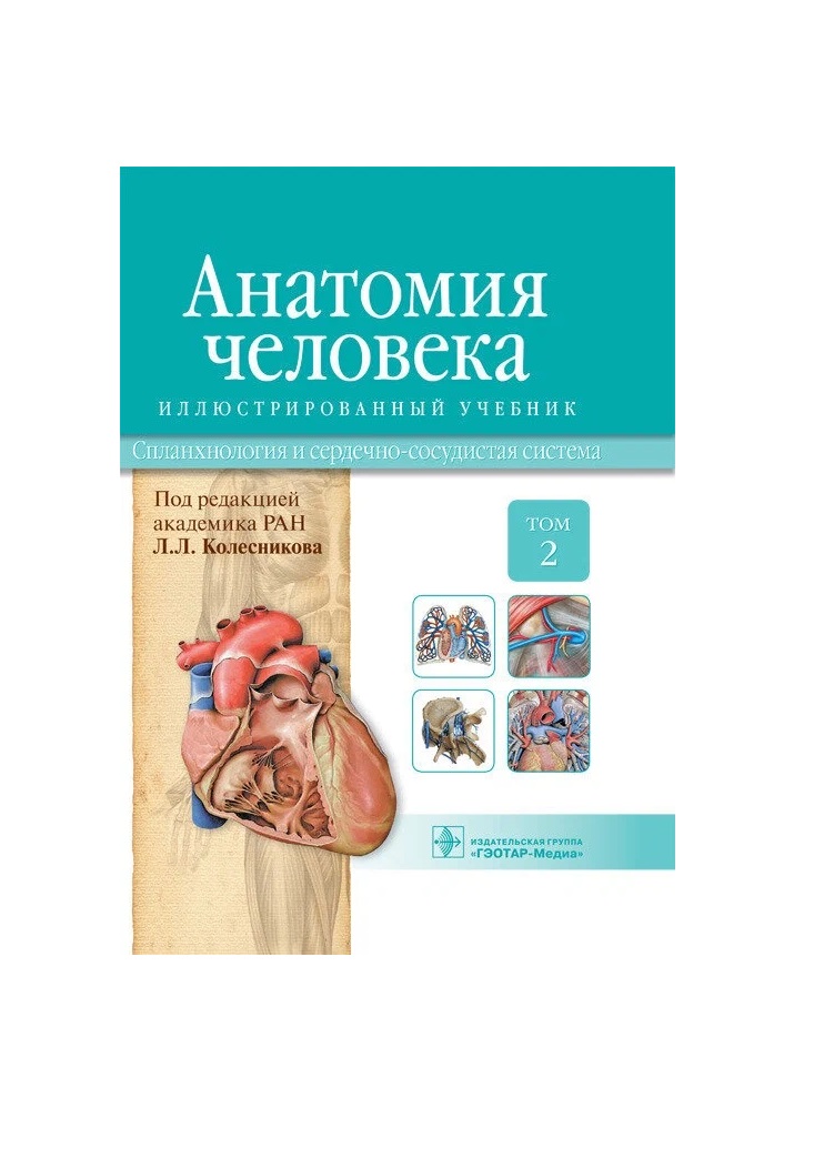 

Анатомия человека. Учебник в 3-х томах. Том 2 Спланхнология и сердечно-сосудистая система