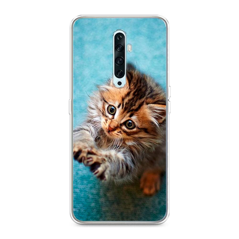 

Чехол Awog на Oppo Reno 2Z "Котенок просит есть", Разноцветный, 251850-2