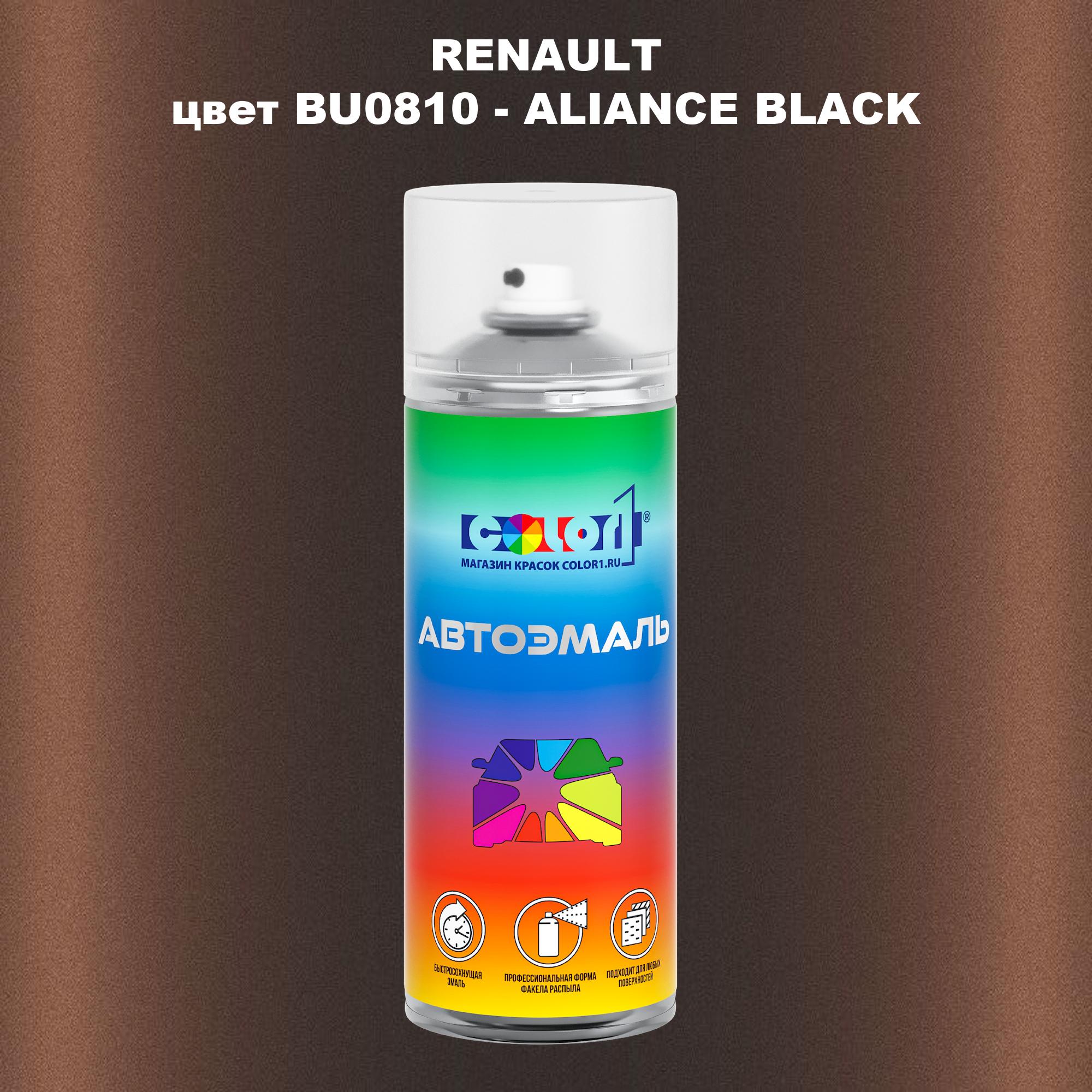 

Аэрозольная краска COLOR1 для RENAULT, цвет BU0810 - ALIANCE BLACK, Прозрачный