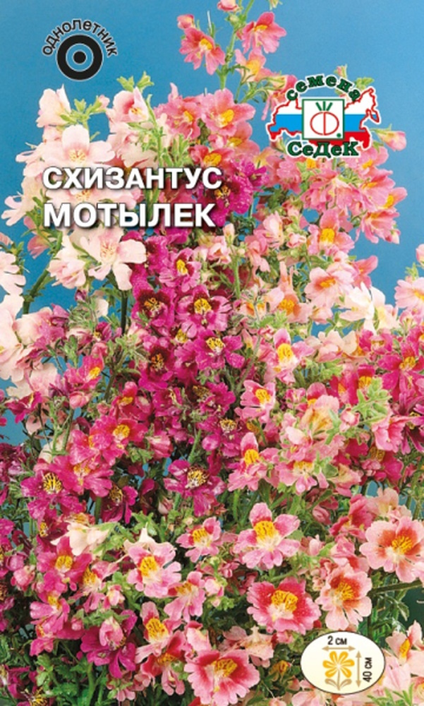

Семена схизантус СеДек Мотылек 28769 1 уп.