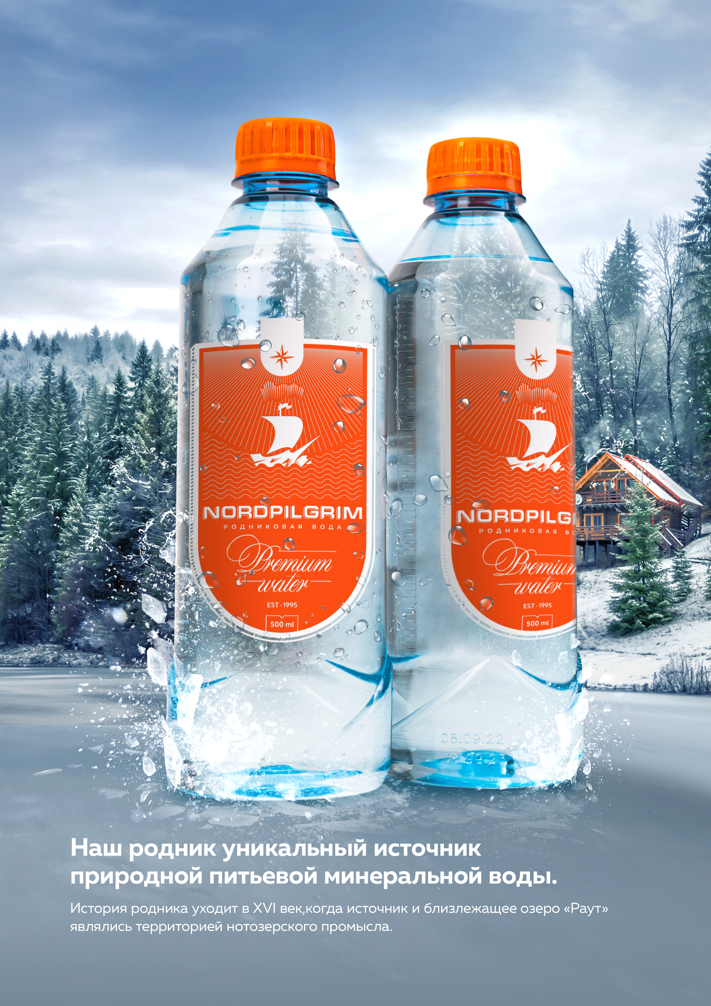 

Вода питьевая NordPilgrim родниковая негазированная, 0,5 л х 12 шт, NordPilgrim