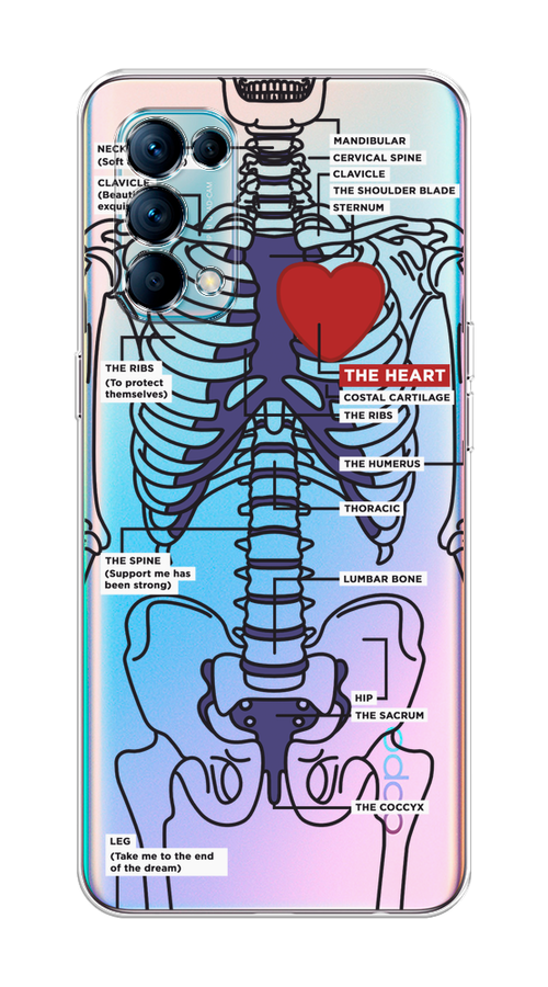 

Чехол на Oppo Reno 5 "Скелет человека", Прозрачный;синий;красный, 255250-1