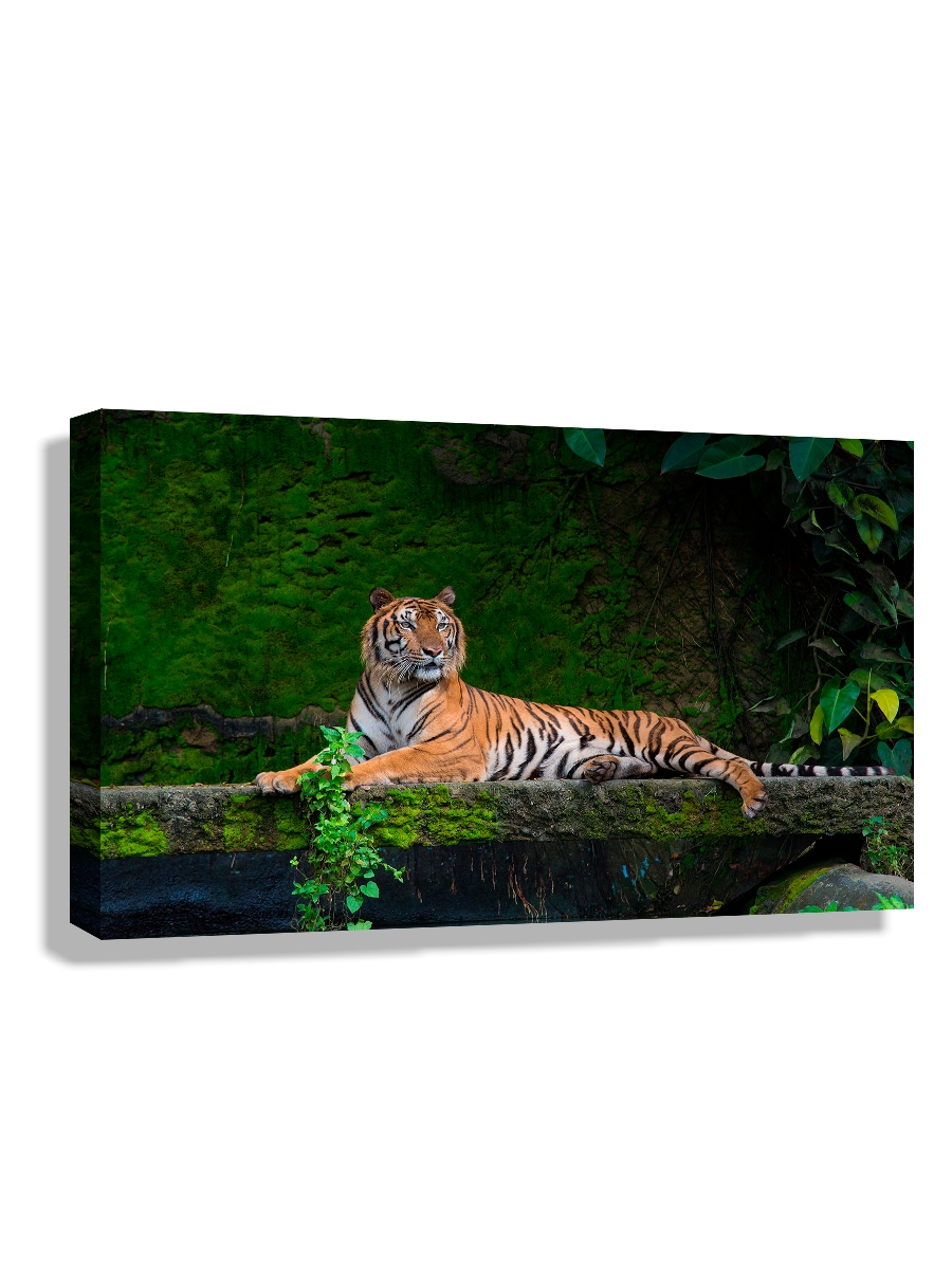 

Картина DRABS 60x40 см на холсте Бенгальский тигр отдыхает среди зелени